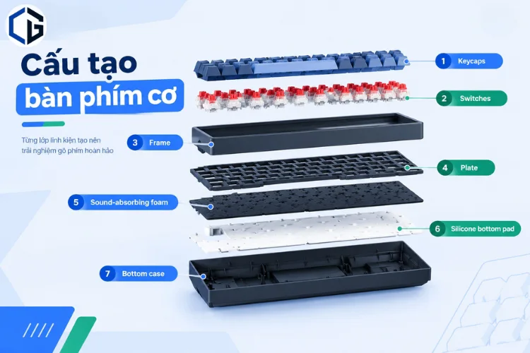 Cấu tạo bàn phím cơ gồm những bộ phận nào? Chi tiết từng bộ phận