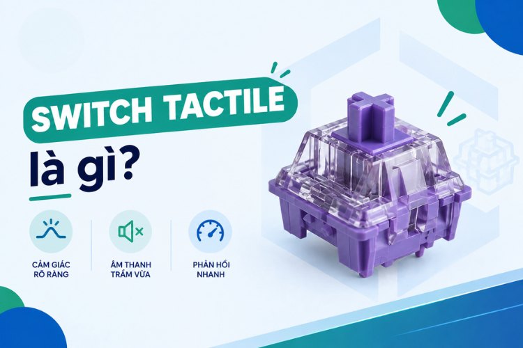 Switch Tactile là gì?