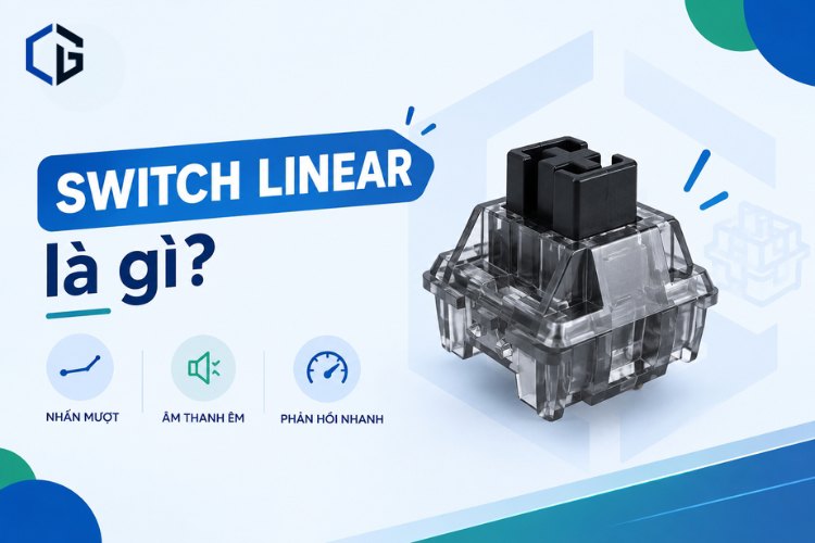Switch Linear là gì?